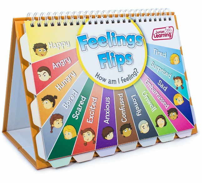 Feelings and Emotions Flip Chart