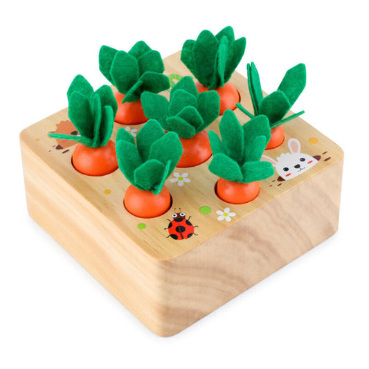 Wooden Toys Baby Montessori Toy Set Pulling Carrot Shape Matching Size Cognition